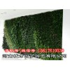 郑州阳台生态墙制作|垂直绿化|屋顶花园|定制景观