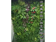 郑州校园植物墙施工价格-河南城市园丁园艺有限公司