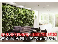 郑州学校植物墙施工价格-河南城市园丁园艺有限公司