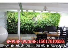 郑州阳光房植物墙施工价格-河南城市园丁园艺有限公司