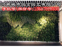 郑州阳台植物墙施工价格-河南城市园丁园艺有限公司
