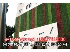 郑州装饰植物墙施工报价-河南城市园丁园艺有限公司