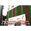 郑州装饰植物墙施工报价-河南城市园丁园艺有限公司