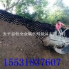 湘潭市 土工格室规范 山坡植草防护蜂巢格