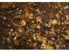 铂思特从金精矿酸化焙烧渣中提取铁铅金银的方法，选金沾金毯