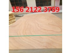 木包装箱板天津多层木包装箱板免商检可外贸出口星冠木业