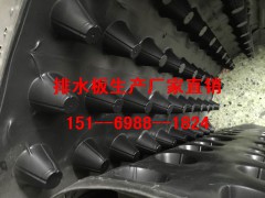 株洲2公分绿化蓄排水板//芜湖1.5公分车库排水板