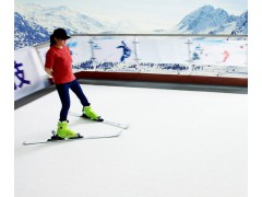 新一代履带式室内滑雪机 常州履带式室内滑雪机厂家
