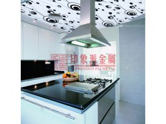 厂家直销可定制生产不锈钢家居客厅装饰加工厨具装潢彩板案例工程