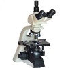 sinico西尼科/实验室生物显微镜