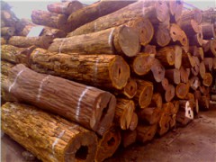 上海原木木材进口清关代理