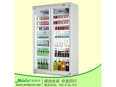 冰柜品牌哪个好？平头双门豪华冷藏展示柜惠州冷柜厂家直销