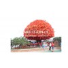 大型仿真红枫树 酒店商场广场人造景观树 假枫叶树仿真红枫树