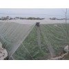 结实耐氧化蔬菜防虫网 结实耐用4米大宽幅蔬菜防虫网