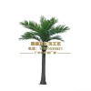 仿真椰子树假椰树室内装饰热带植物仿真棕榈树配底板酒店展厅摆放