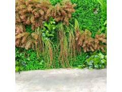 绿霸厂家供应直销，仿真植物墙绿化墙装饰人造绿化装饰外墙美化