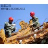 景区寺庙防雷工程 升降杆避雷针安装 河南扬博防雷工程