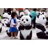 黑白色熊猫岛租赁出售
