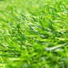 绿霸仿真草坪人造草坪地毯 绿草坪人工草坪塑料草坪装饰休闲