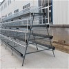 中州牧业阶梯式层叠式新品养殖设备养鸡笼