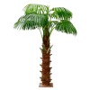 仿真棕榈树仿真热带景观植物 室内装饰假棕榈树盆栽展厅仿真植物