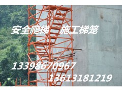 泽晟供应标准型优质安全爬梯