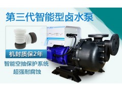 国宝浓碱智能氟塑料泵