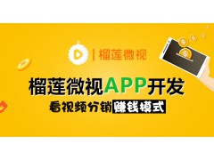 榴莲微视模式系统APP专业开发