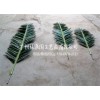 抖音仿真椰树叶假树叶龟背叶绿叶子 拍摄道具人造椰树叶