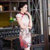 潇萍萍 旗袍19年夏中国风韵女性连衣裙优雅女装批发价格便宜