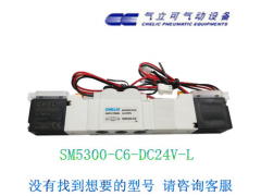 CHELIC气立可 电磁阀 SM5300 C8 C6 DC