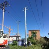 安宁市66千伏电力输电 单回路电力钢杆 双回路电力钢杆