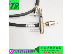 供应锅炉点火系统 点火枪 HNDZ-1R32