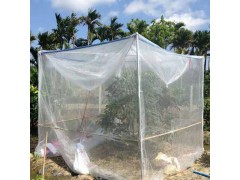 结实的耐氧化的丝网40目加宽加厚的果树防虫网直销