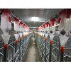 料线厂家自动化养猪设备 自动化喂猪系统