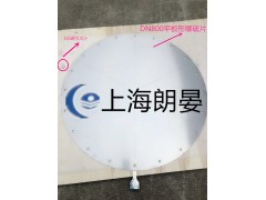 专业生产防爆片生产销售公司 上海朗晏平板开缝型爆破片