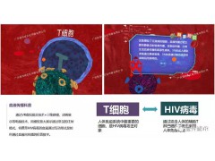 中国每万人或有6人感染艾滋病，学生群体感染速度上升