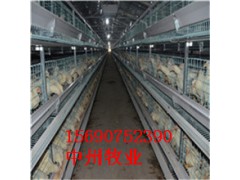 养鸡设备  中州好鸡笼  养殖密度大规模效益好的鸡笼