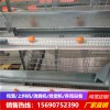 河南中州牧业自动化养殖鸡笼批发