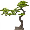 仿真松树盆景假迎客松树 盆栽造型装饰来图定做造型罗汉松美人松