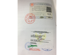 自由销售证书印尼使馆认证
