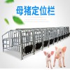 直销养猪场设备 养猪设备 猪产床 母猪分娩床  仔猪保育栏