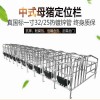 母猪产床育肥仔猪保育栏 养猪设备厂家供应价格低质量优