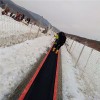 滑雪场红外感应输送设备  雪地魔毯便捷操作方式