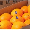 进口埃及橙子到天津港报关报关海运代理公司