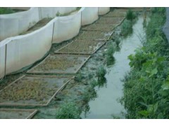 宜宾青蛙养殖网厂家批发特厚食台网结实耐用的丝网