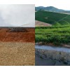 边坡绿化-矿山复绿-挂网客土喷播-客土植绿