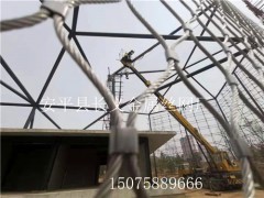 不锈钢绳网制造公司 动物防护隔离网 不锈钢绳网价格