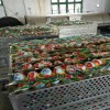 咸鸭蛋腌制柜 咸鸭蛋腌制设备生产厂家