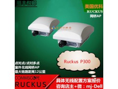 美国Ruckus优科P300网桥901-P300-WW02